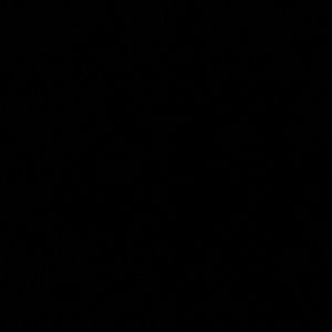 Meet your Posher, Sadie